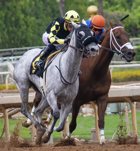 中场和前锋 中场和前锋